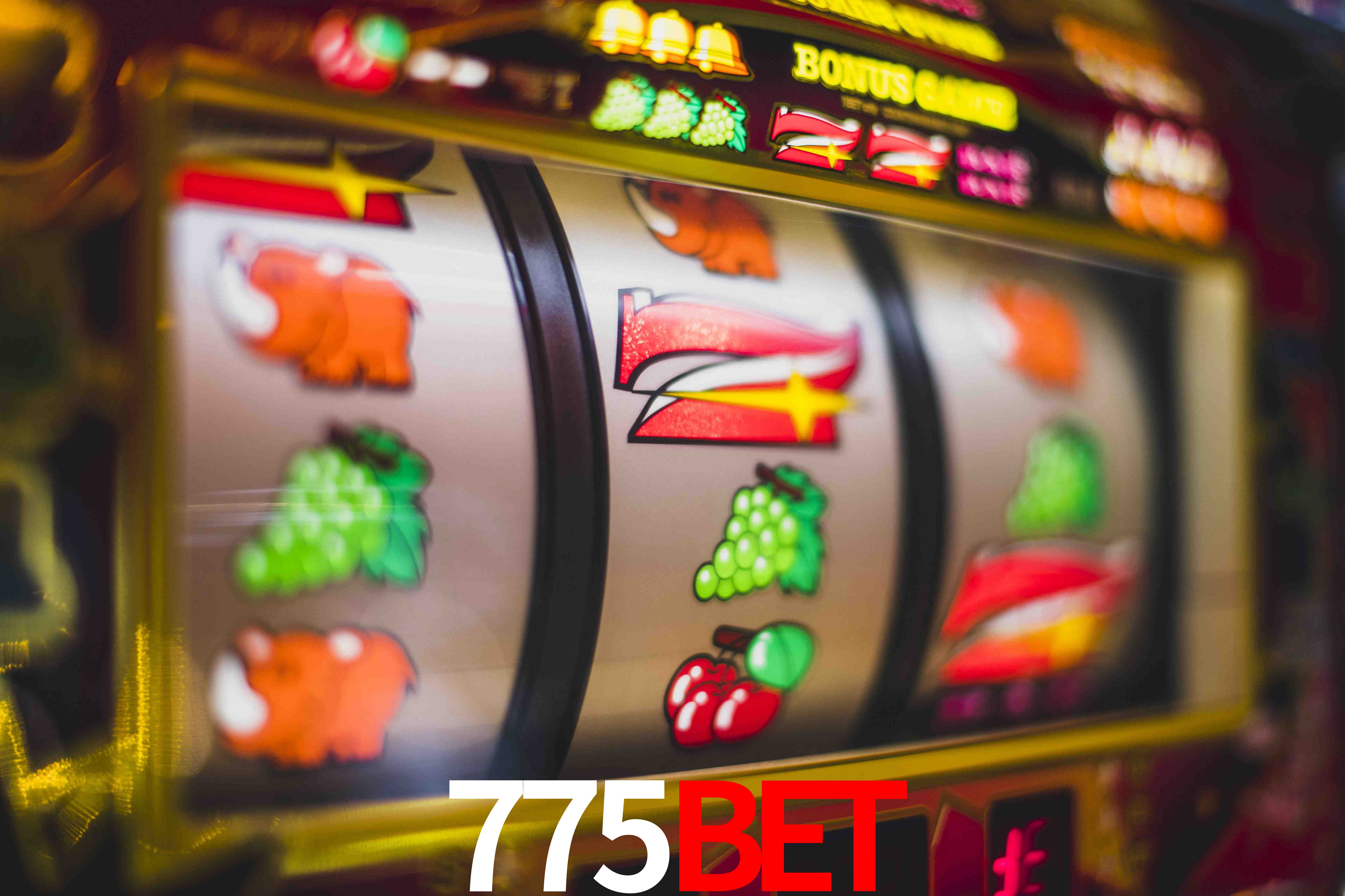 Crash Games Statistics 775bet